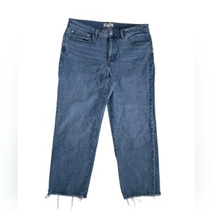 Madewell 90's Plus Curvy Size 16W Straight Leg  Blue Women's Jeans